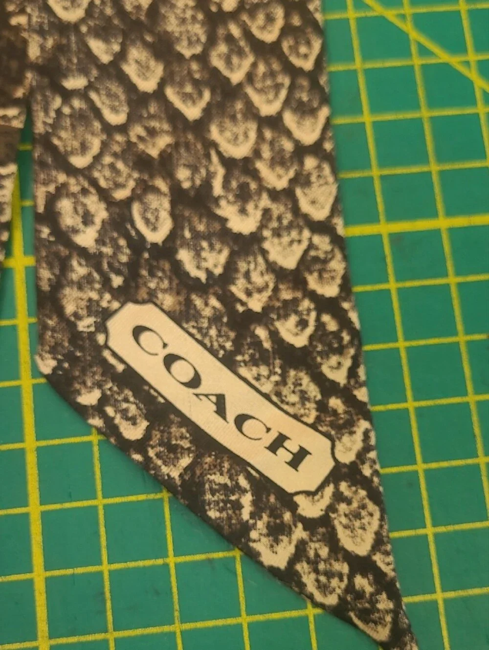 Coach Taylor  Black & White Snake-Print Silk Scarf Tie F83980